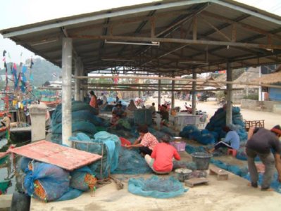 pescador (21)  ALIMENTOS ELABORACION